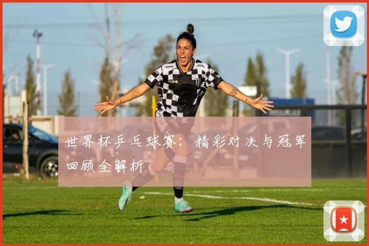 世界杯乒乓球赛：精彩对决与冠军回顾全解析