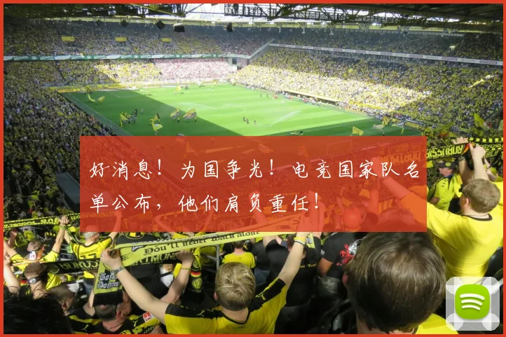 好消息！为国争光！电竞国家队名单公布，他们肩负重任！